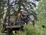 IMG 8319