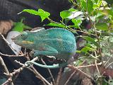 image00016