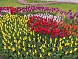 image00071